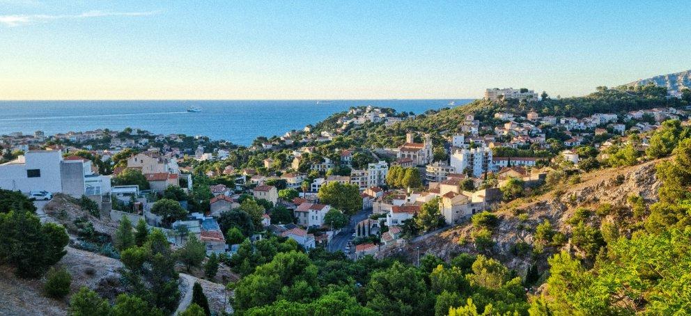 Hillside of trees and homes, sea in the distance